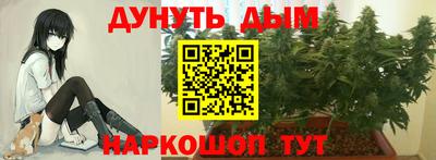 spice Апшеронск