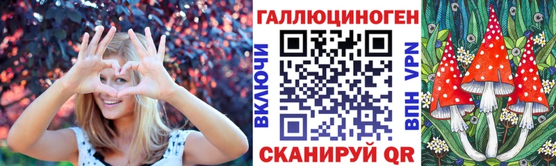как найти закладки  Лосино-Петровский  кракен сайт  Галлюциногенные грибы Psilocybine cubensis 