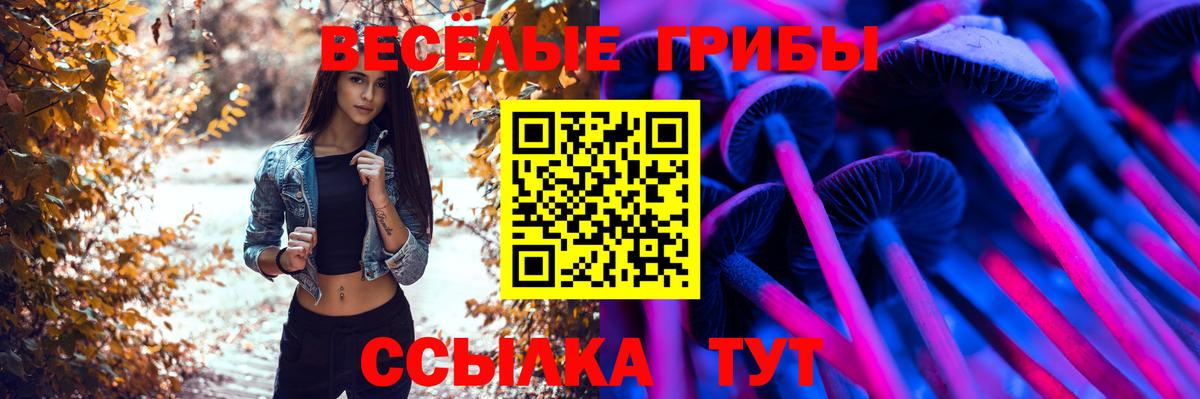 наркота  Вход с VPN  Лосино-Петровский  Псилоцибиновые грибы мицелий  Псилоцибиновые грибы ЛСД 