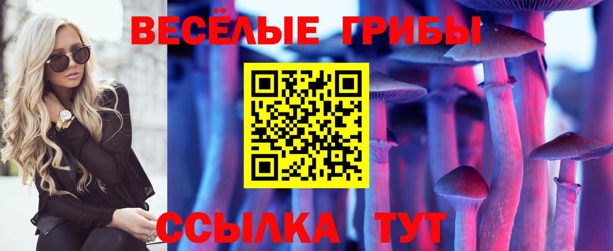 Псилоцибиновые грибы мицелий Лосино-Петровский