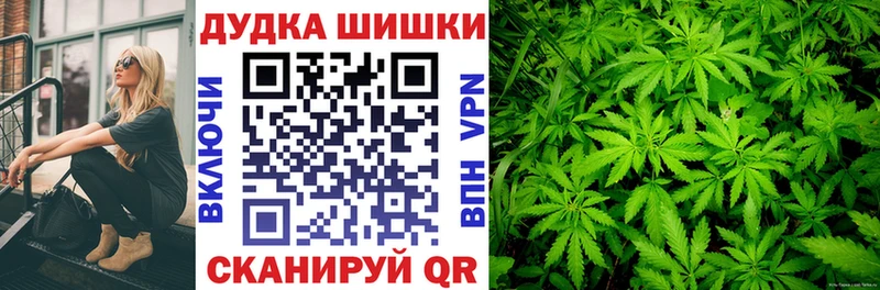 Бошки марихуана марихуана  блэк спрут ССЫЛКА  Лосино-Петровский 