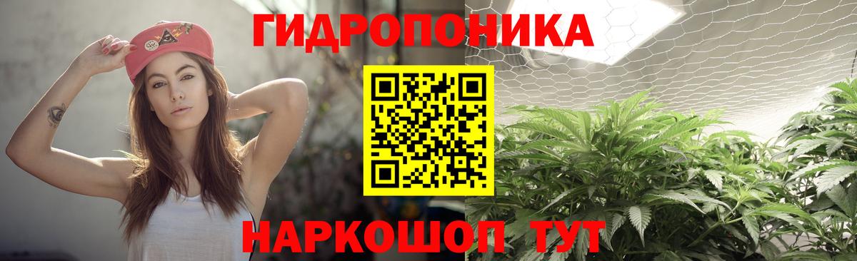 Бошки марихуана семена Лосино-Петровский